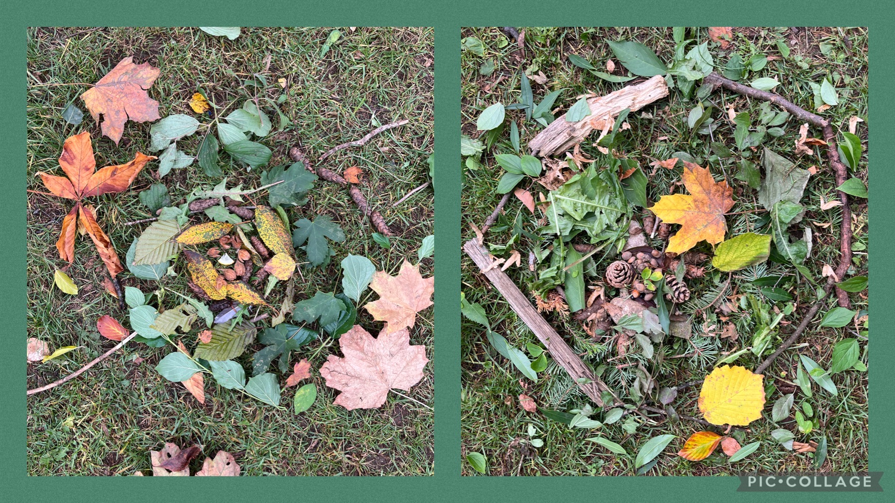 Naturmandala1