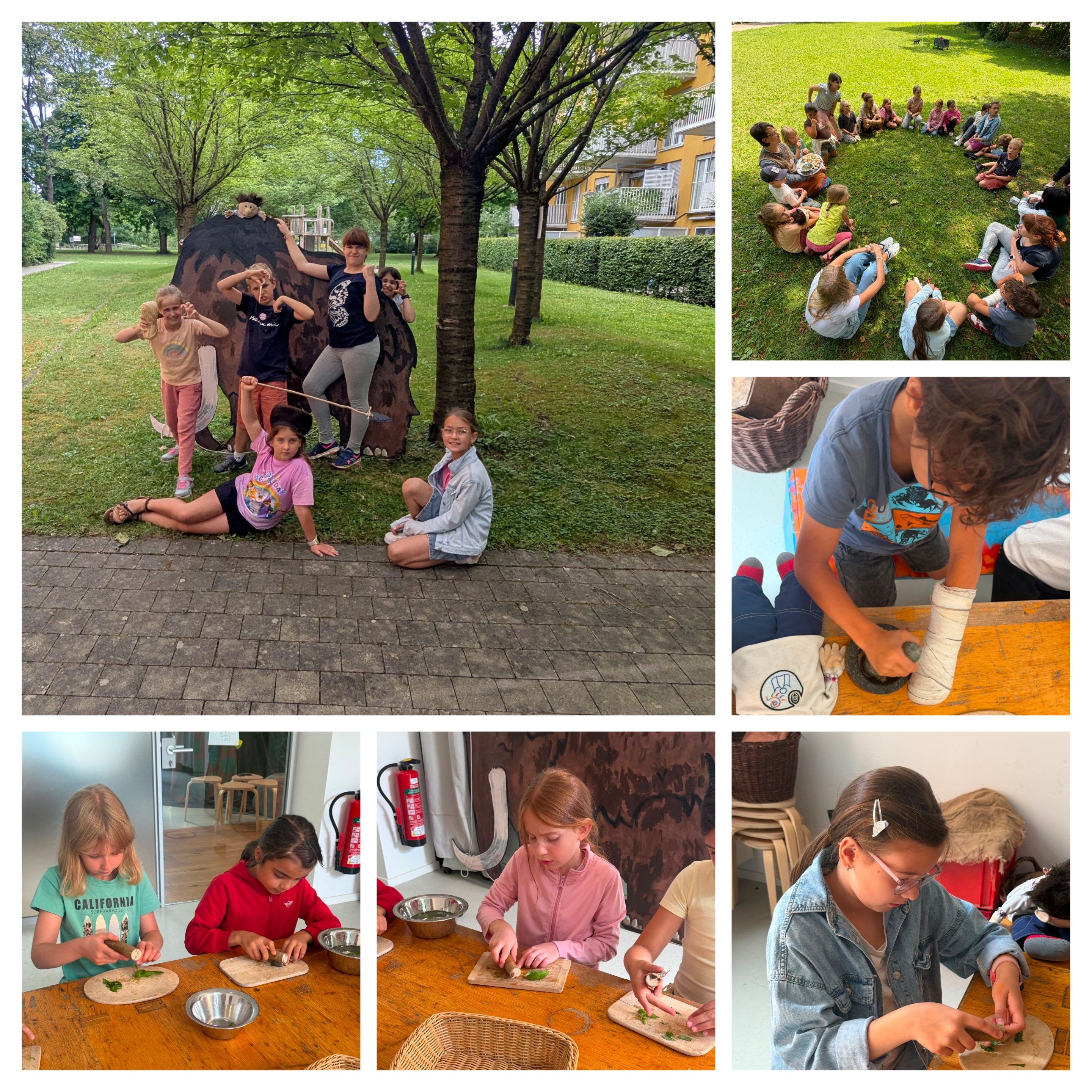 20260721_230408-COLLAGE.jpg