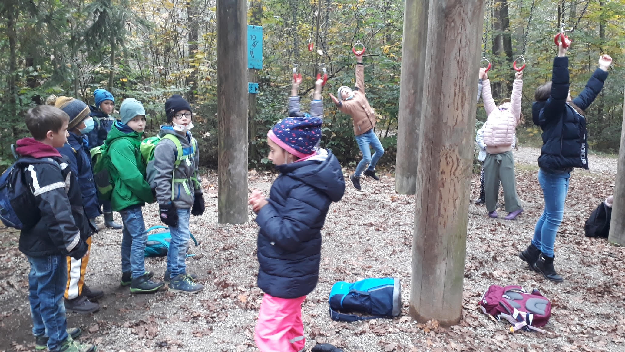 21 11 25 Berglwald II