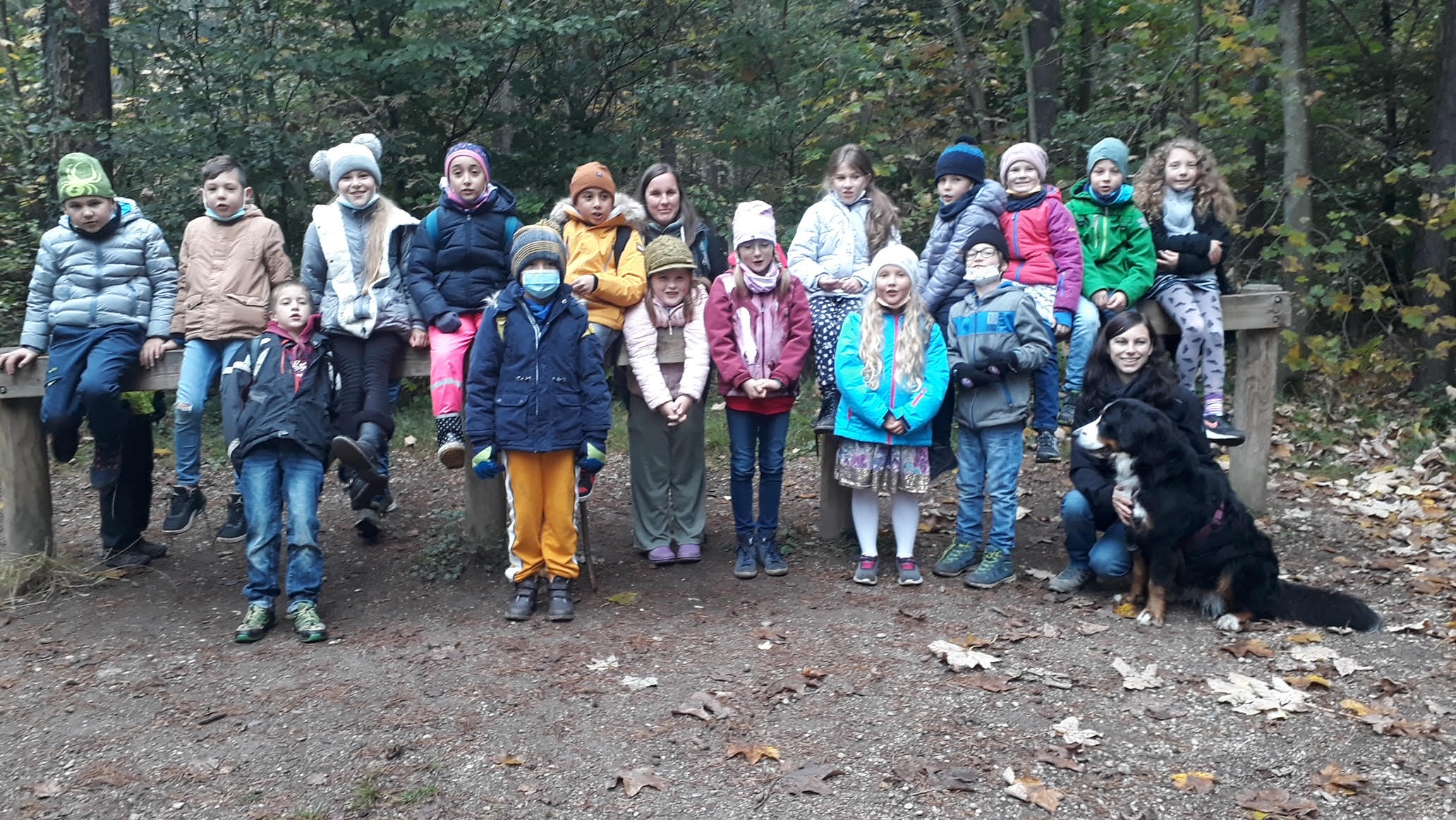 21 11 25 Berglwald III