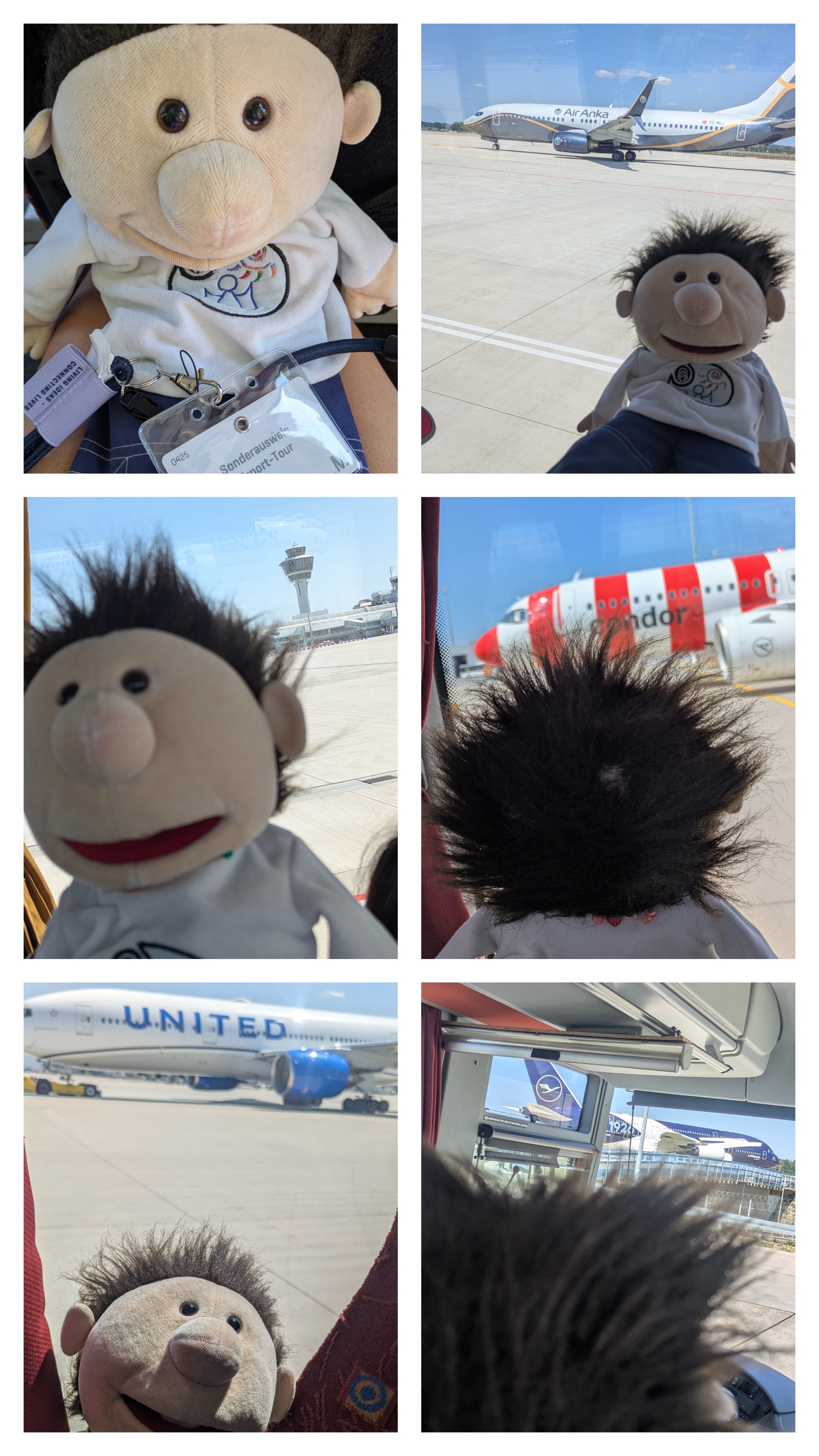 2COLLAGE.jpg