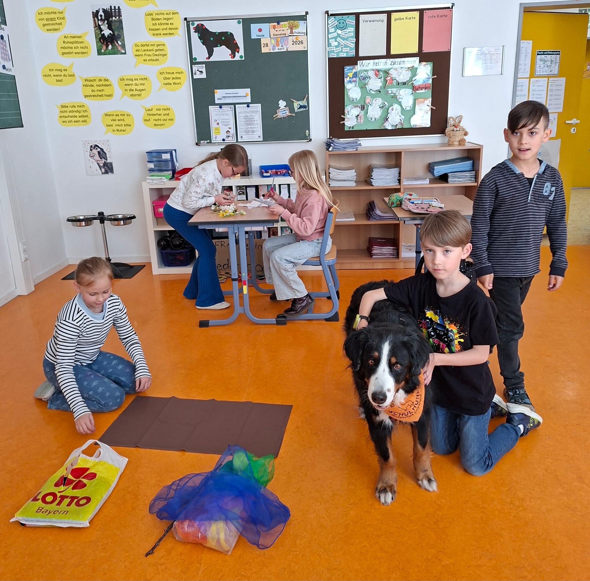 Bodenbild 1