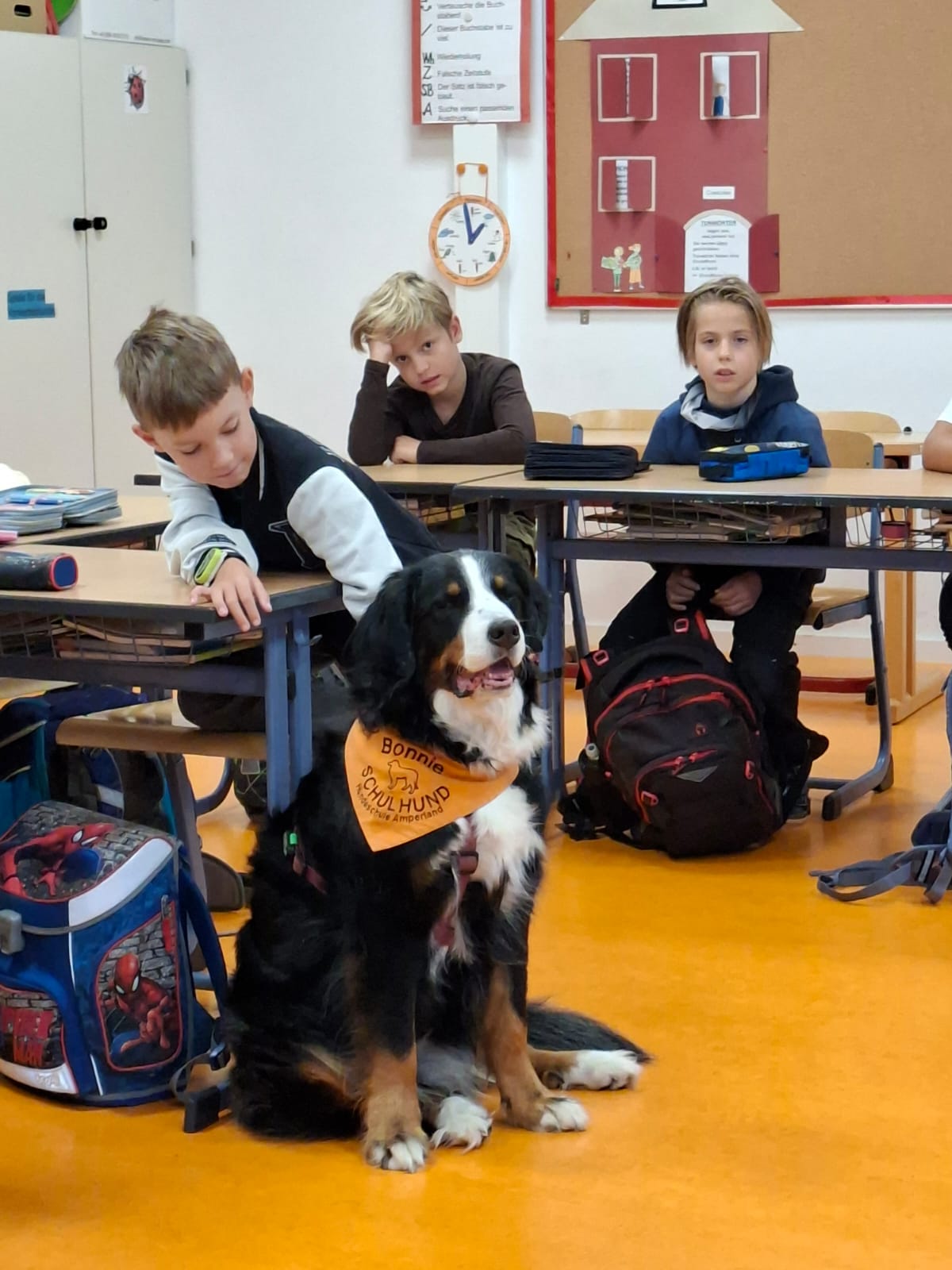 Bonnie sitzend Benni