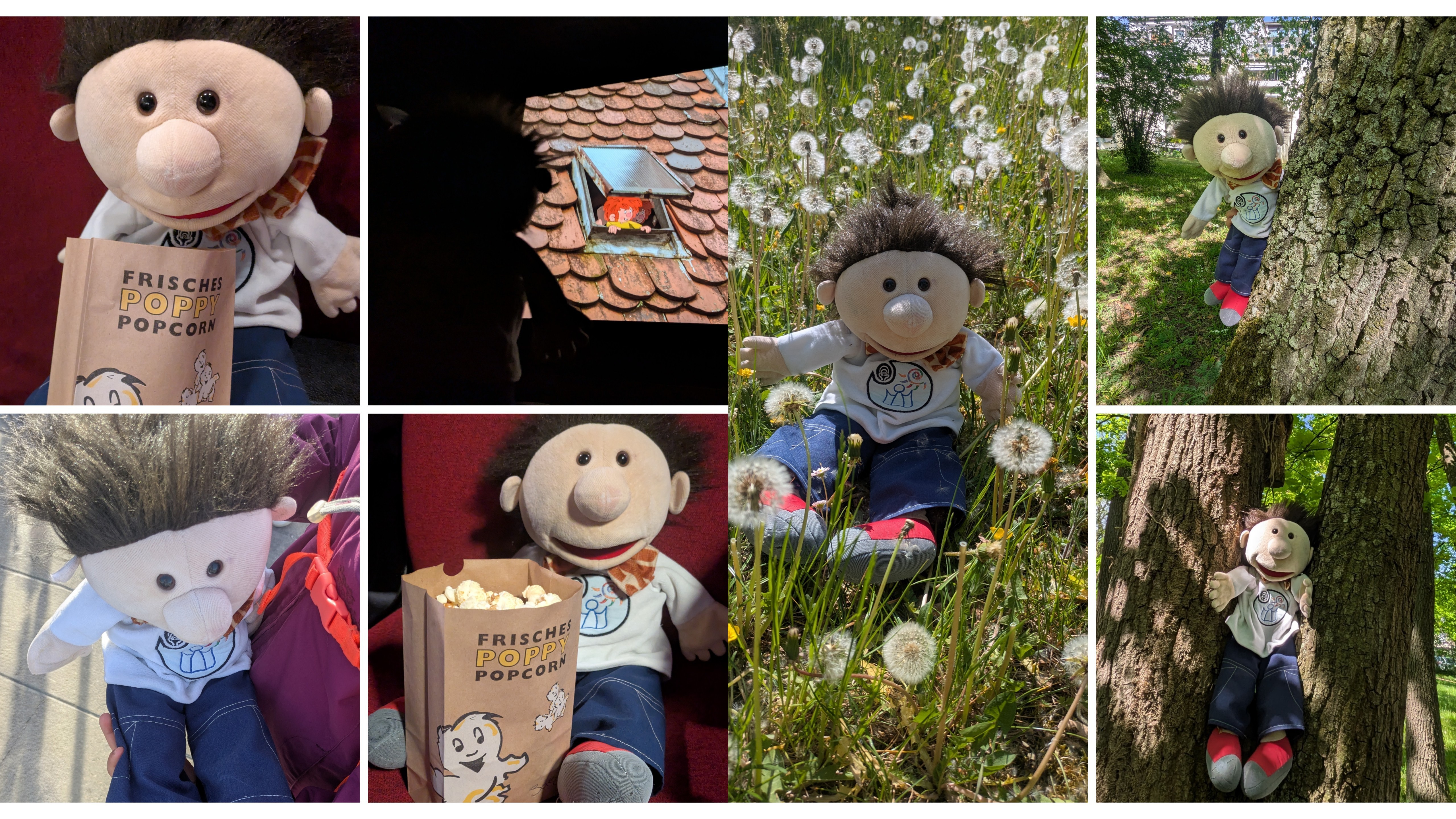 Collage_Kino_und_Wiese.jpg