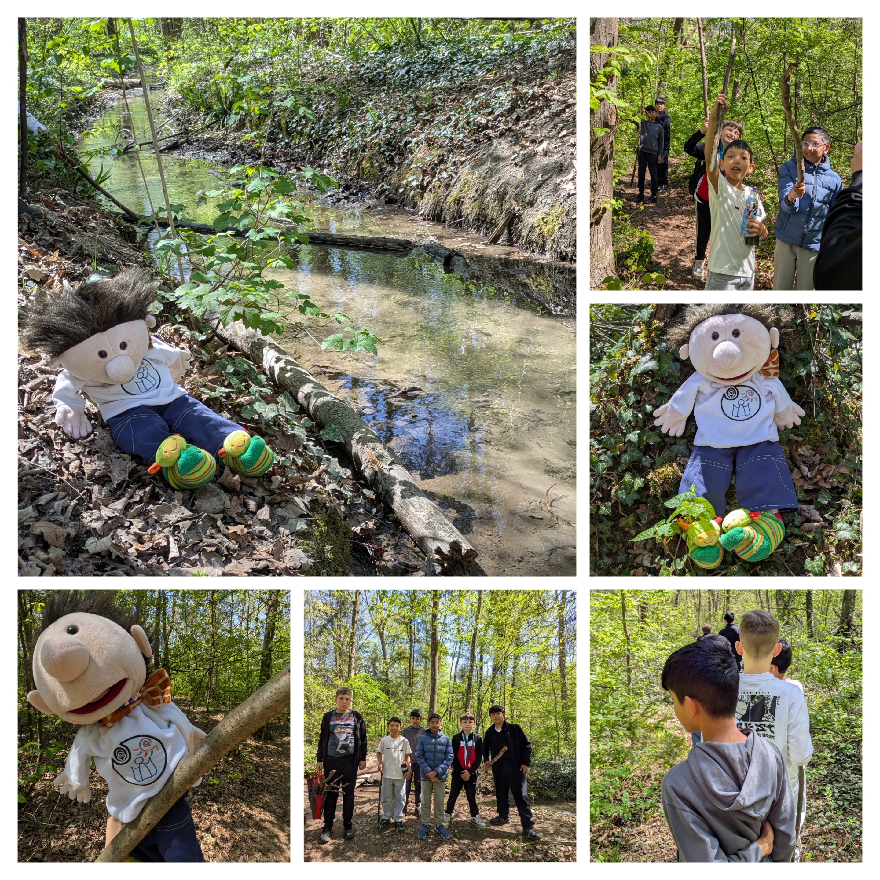 HP_30.4.26_Wald_4a.jpg