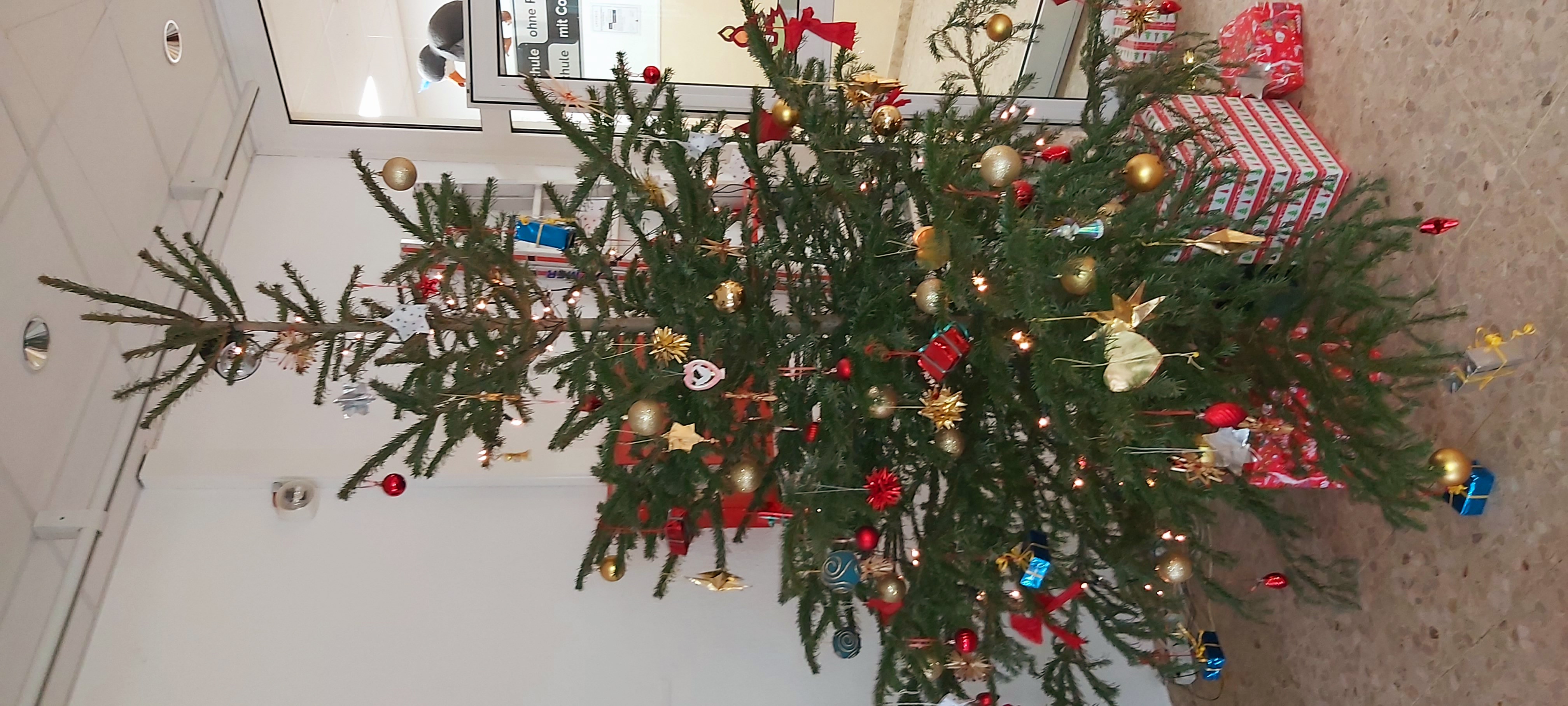 Weihnachtsbaum